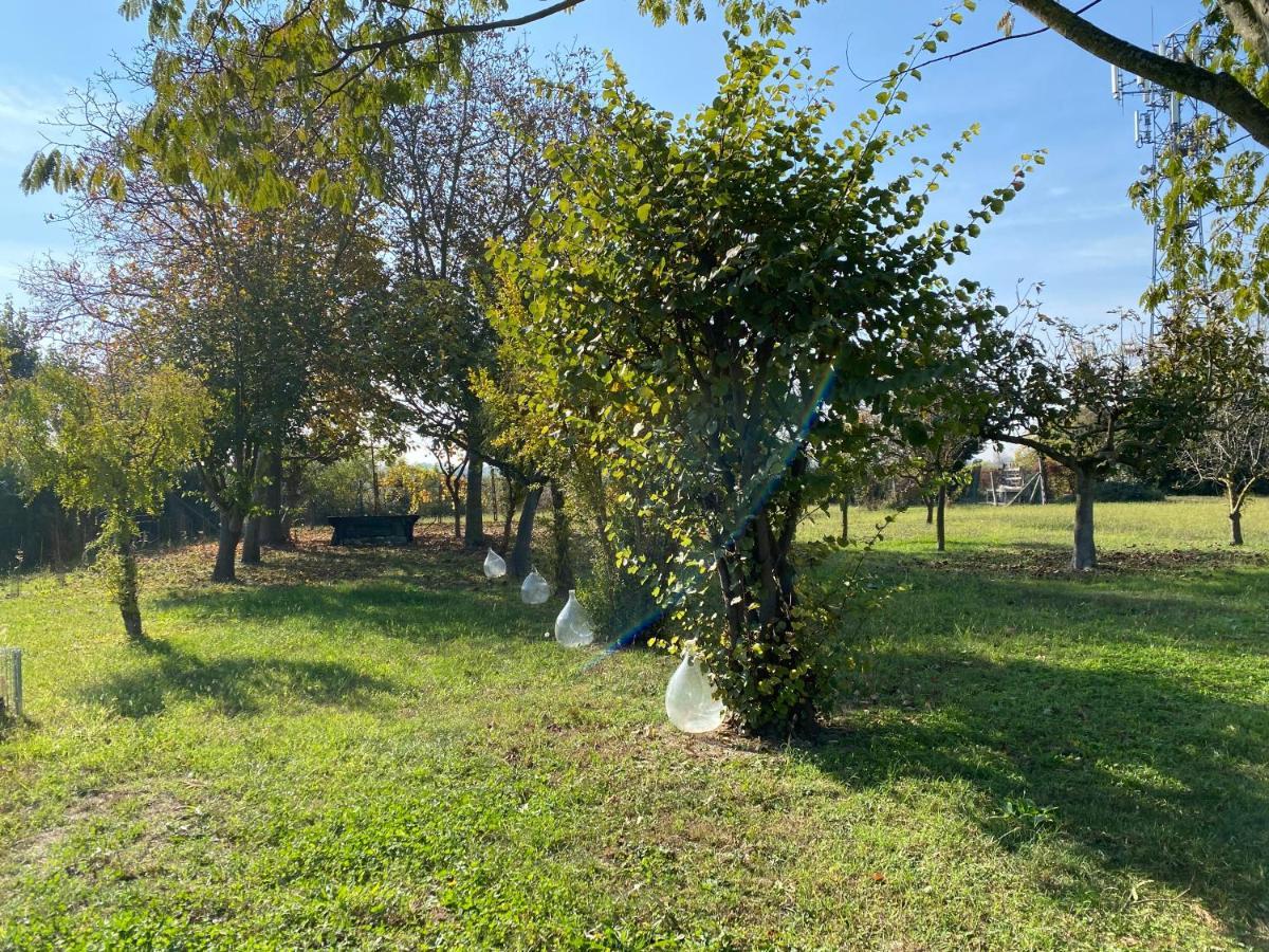 Balabuska Rooms & Garden Codevigo Exterior foto
