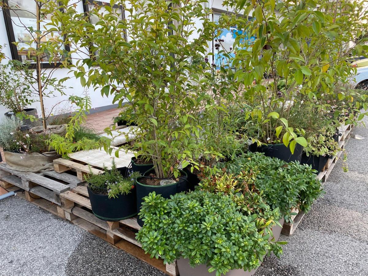 Balabuska Rooms & Garden Codevigo Exterior foto