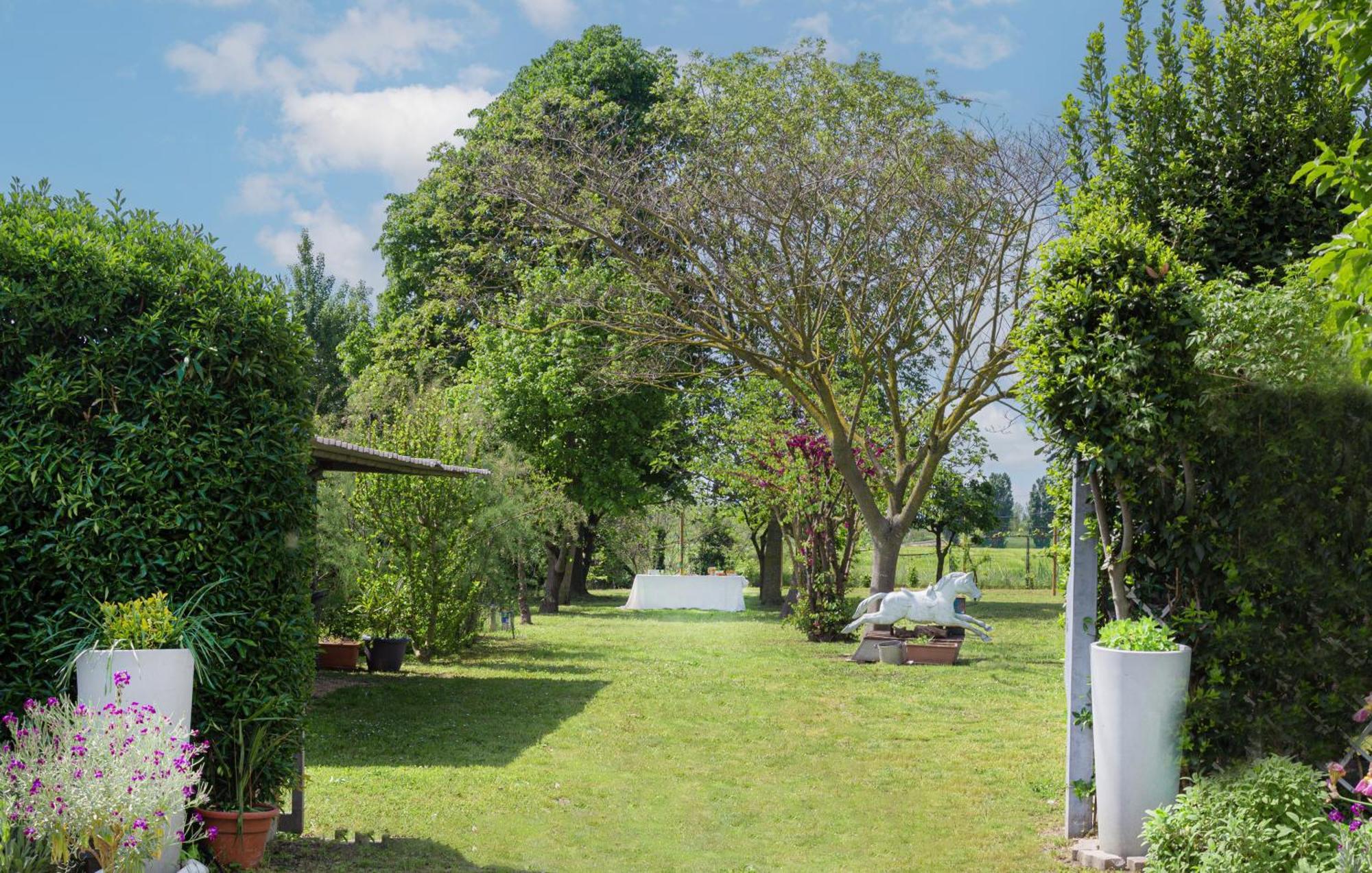Balabuska Rooms & Garden Codevigo Exterior foto